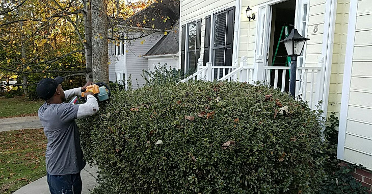 trimming_shrubbery